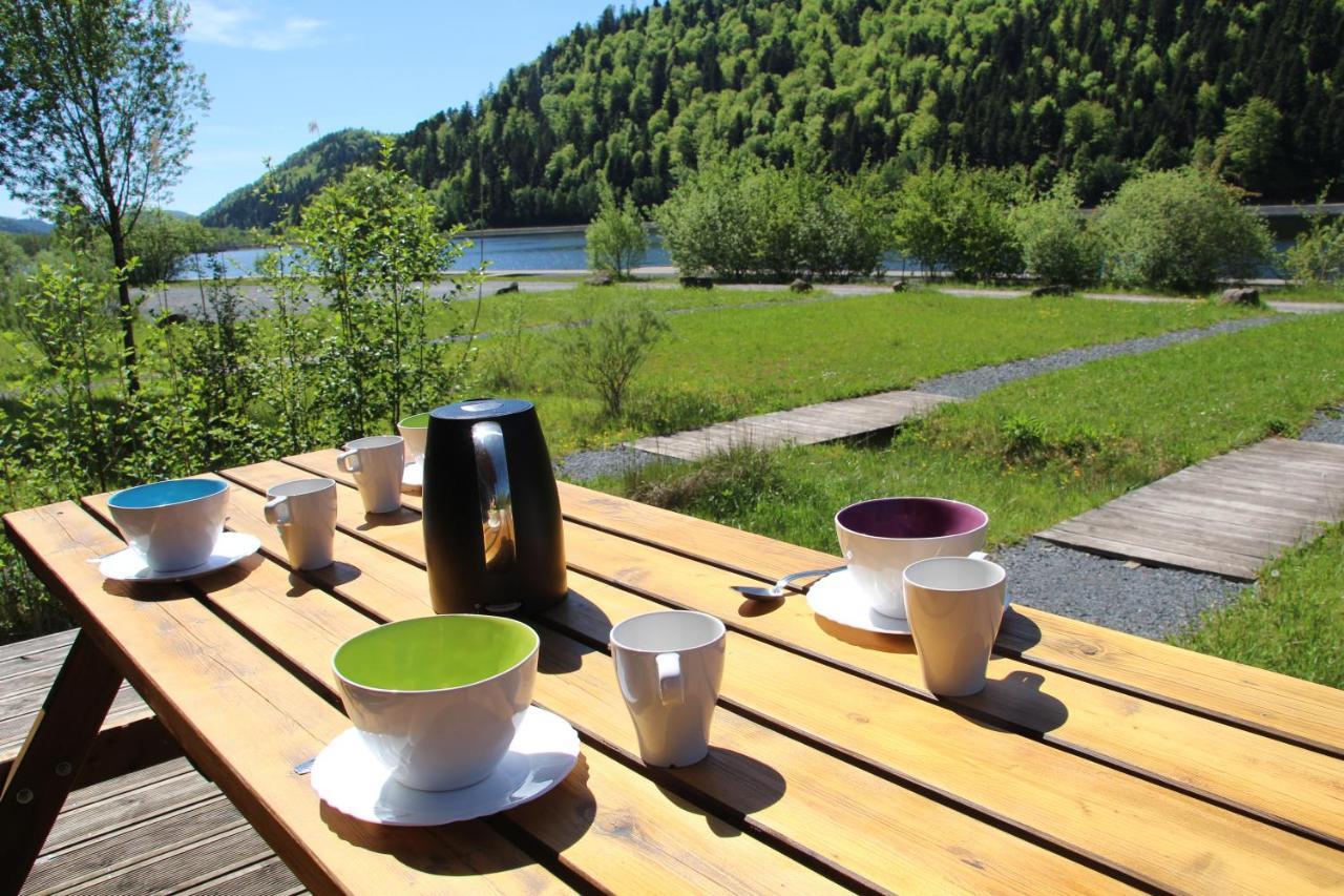 Camping Des Lacs*** Villa Celles-sur-Plaine Eksteriør bilde